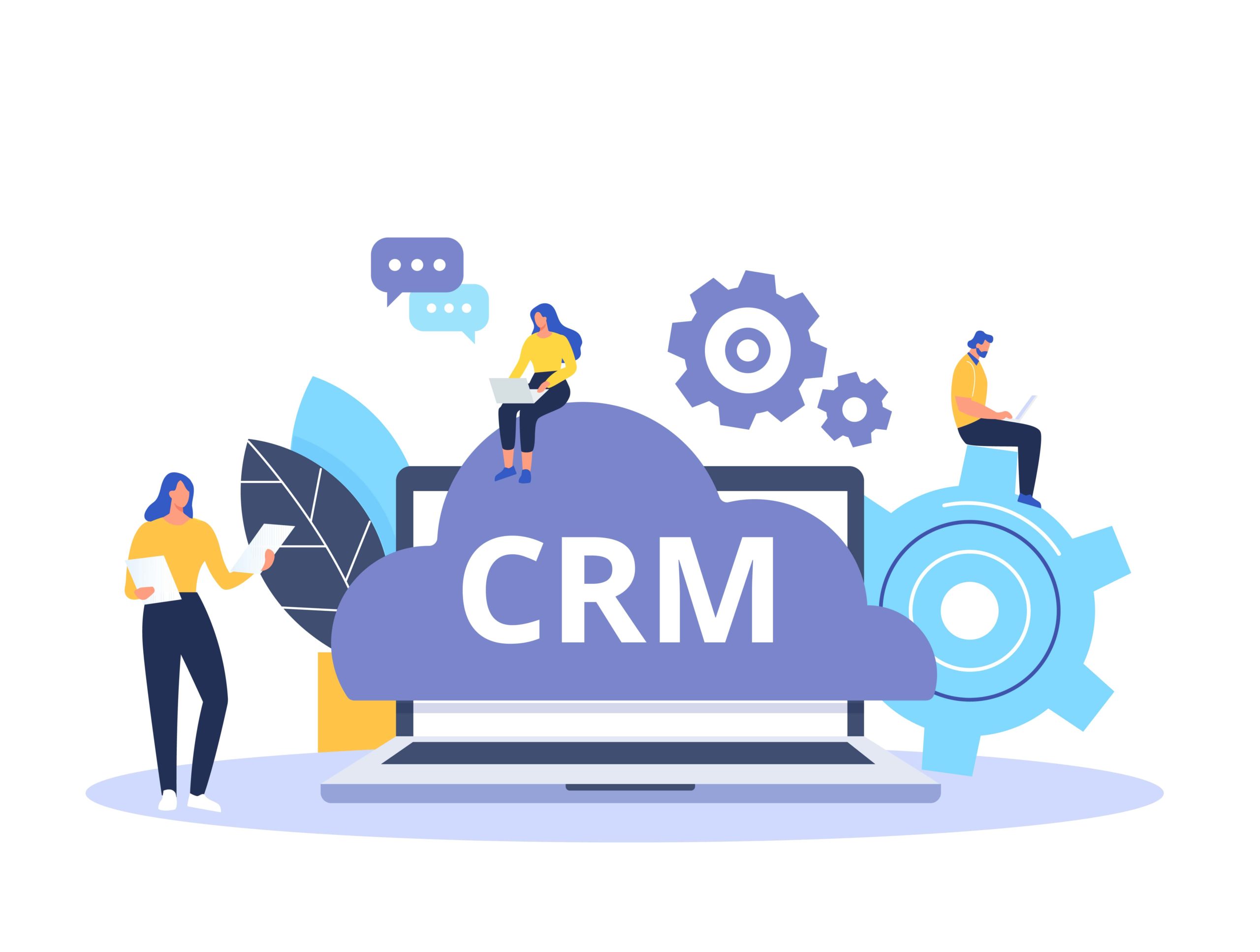 NetSuite CRM