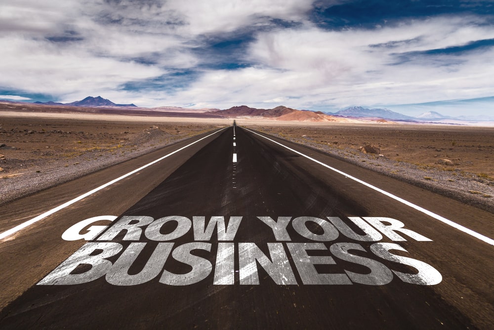 NetSuite Business Growth