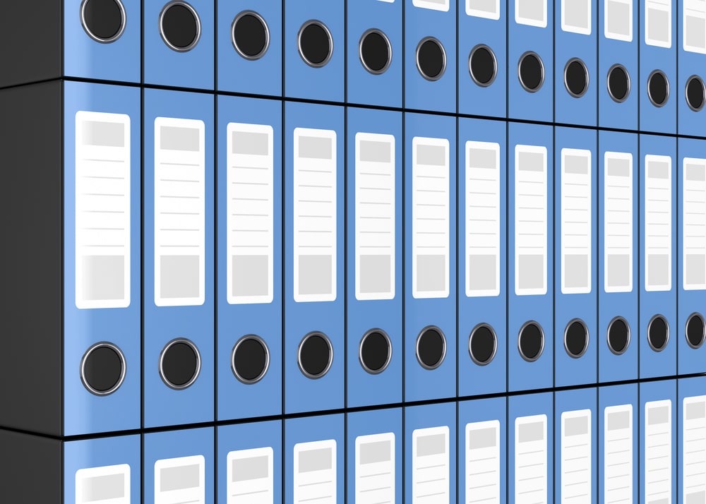 NetSuite Data Sheets