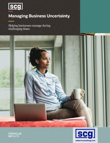 NetSuite Datasheets & White Papers - Seibert Consulting LLC
